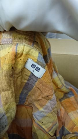 火事　煤　臭い除去