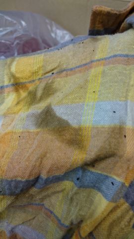 火事　煤　臭い除去