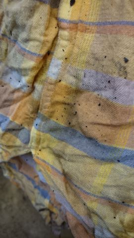 火事　煤　臭い除去